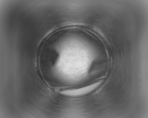 X0000074041165200609181945