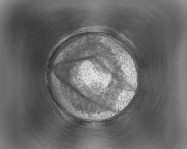 X0000074041166200609181945