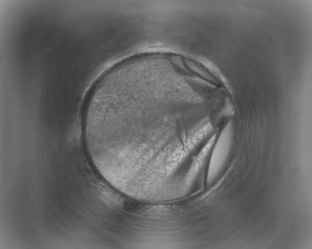 X0000074041167200609181945