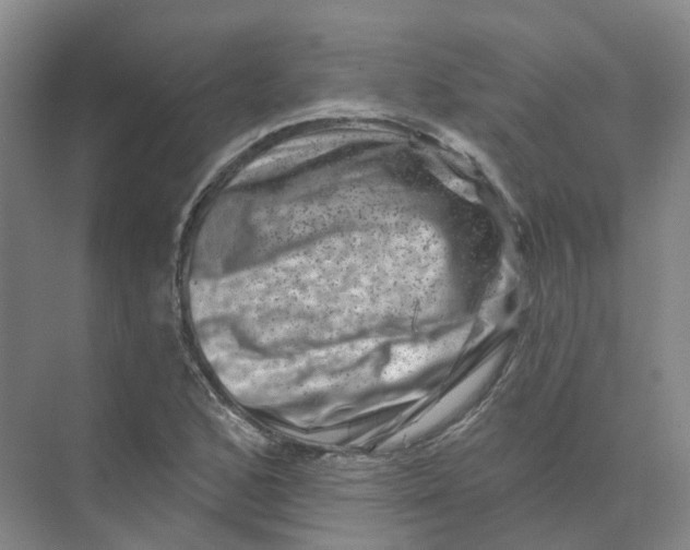 X0000074041168200609181945