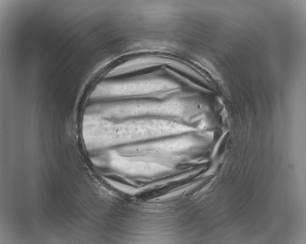 X0000074041172200609181945