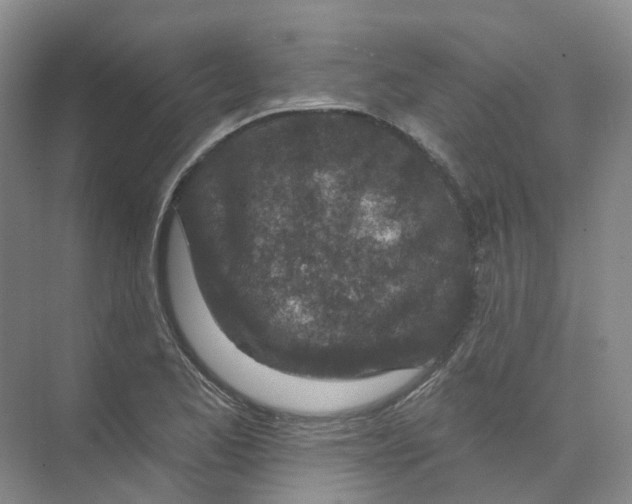 X0000074041173200609181945