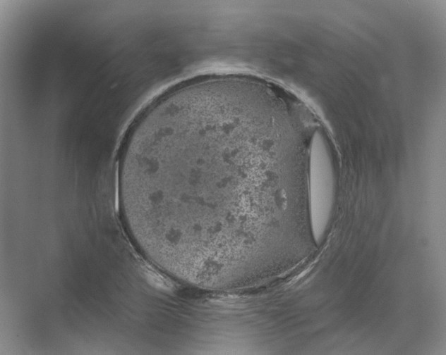 X0000074041175200609181945