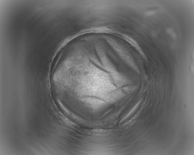 X0000074041176200609181945