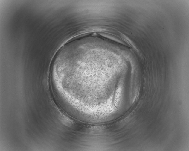 X0000074041178200609181945