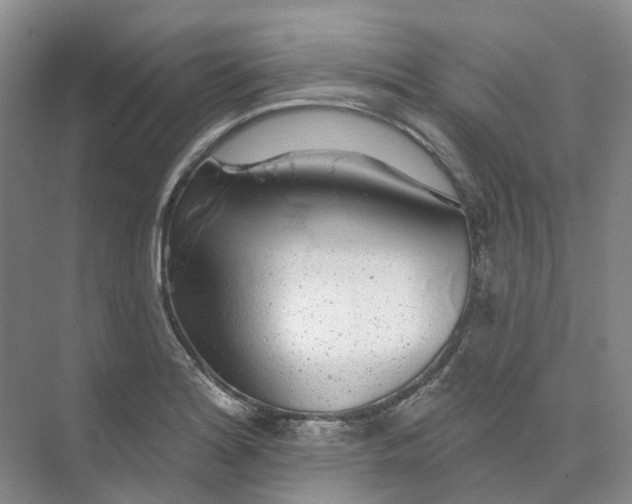 X0000074041180200609181945