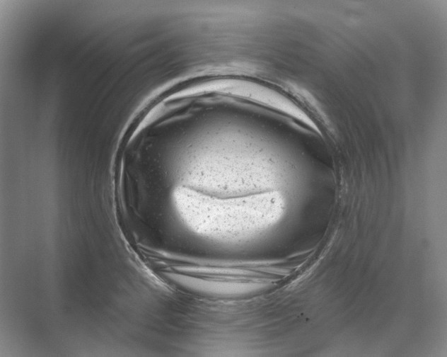 X0000074041184200609181944