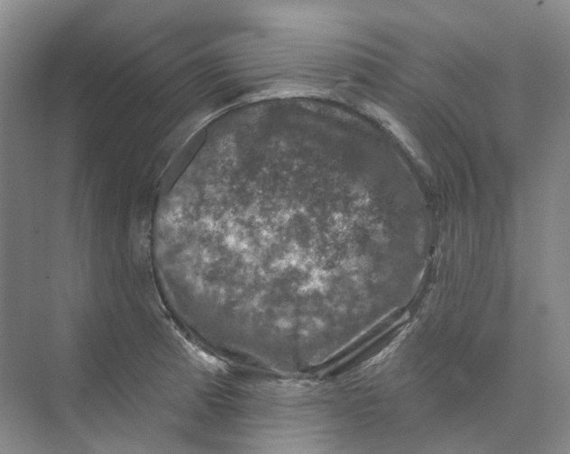 X0000074041185200609181944