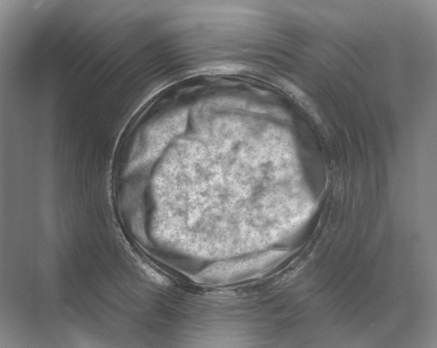 X0000074041186200609181944