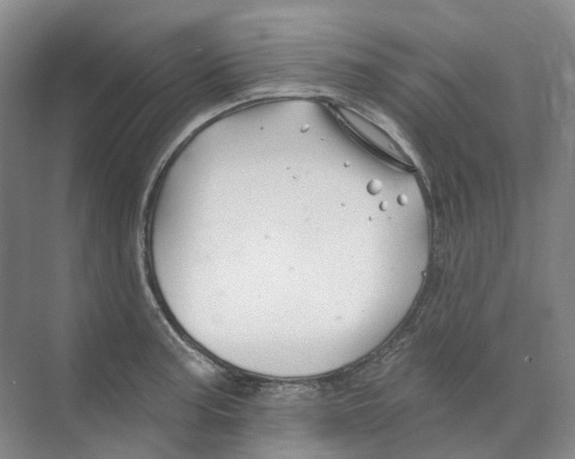 X0000074041187200609181944