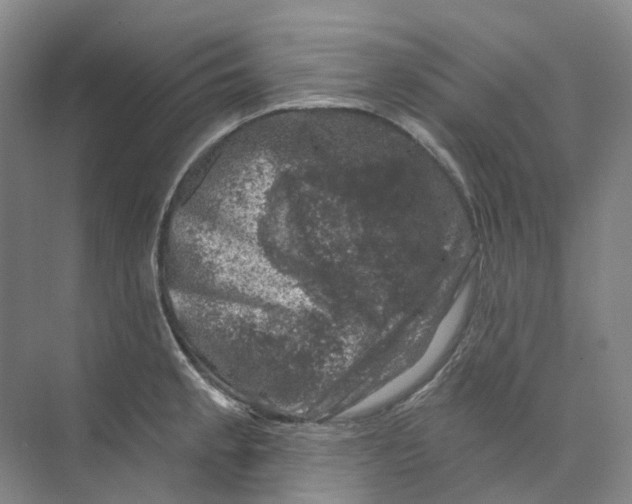 X0000074041189200609181944