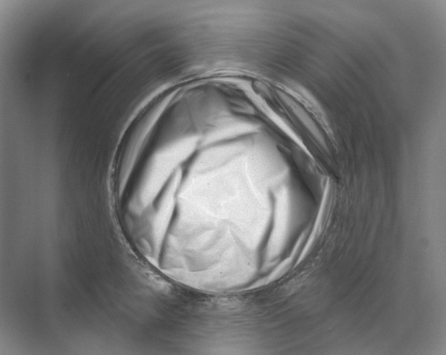 X0000074041190200609181944