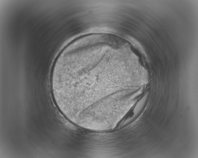 X0000074041192200609181944