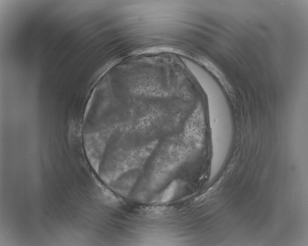 X0000074041193200609181944