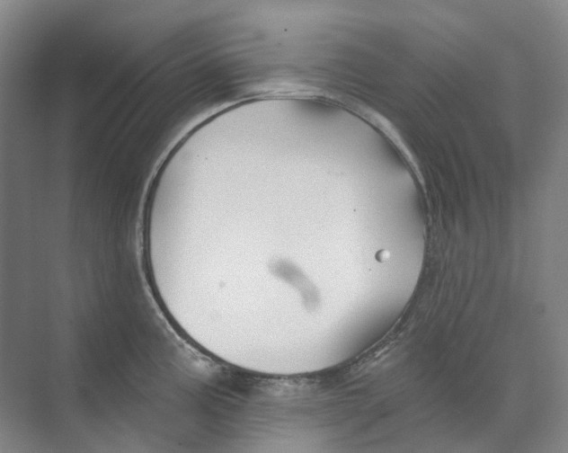 X0000074041195200609181944