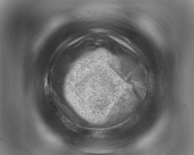 X0000074041198200609181944