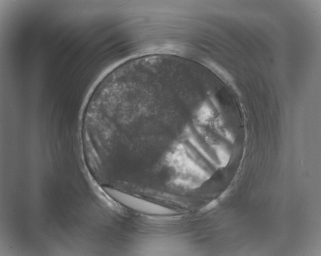 X0000074041200200609181944