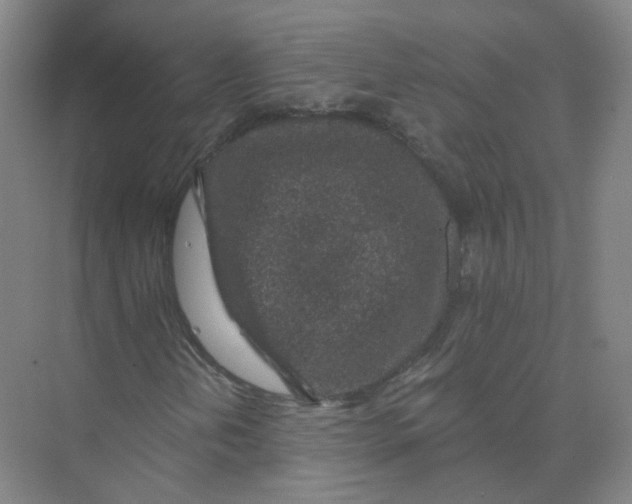 X0000074041202200609181943