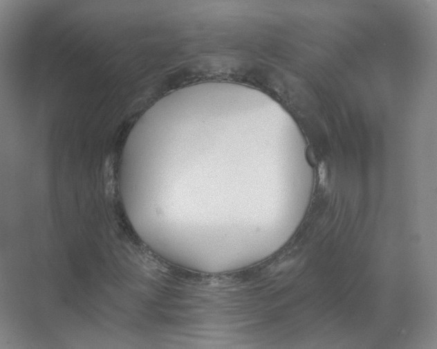 X0000074041203200609181943