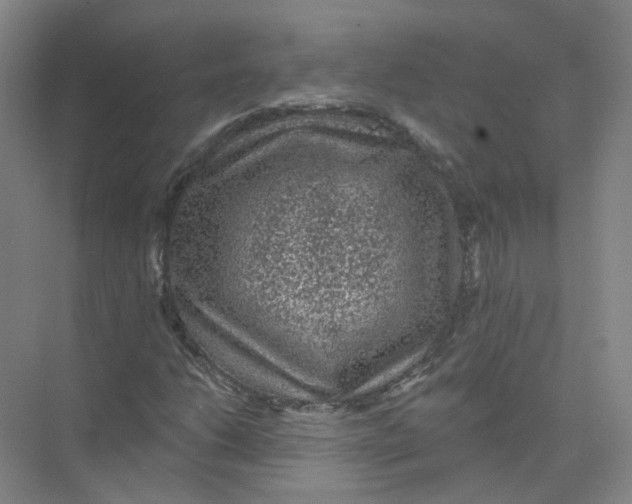 X0000074041206200609181943