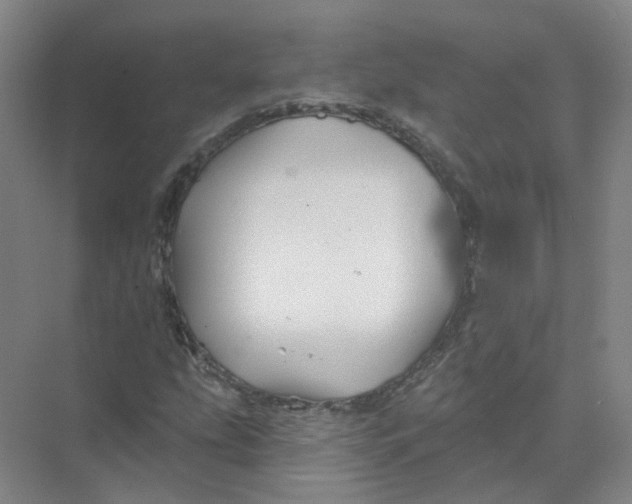 X0000074041207200609181943