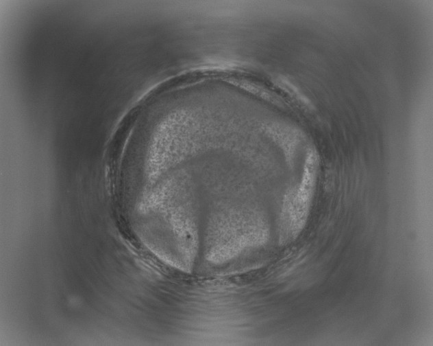 X0000074041208200609181944