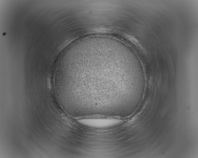 X0000074041209200609181944