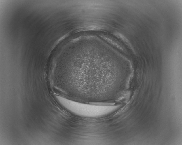 X0000074041210200609181944