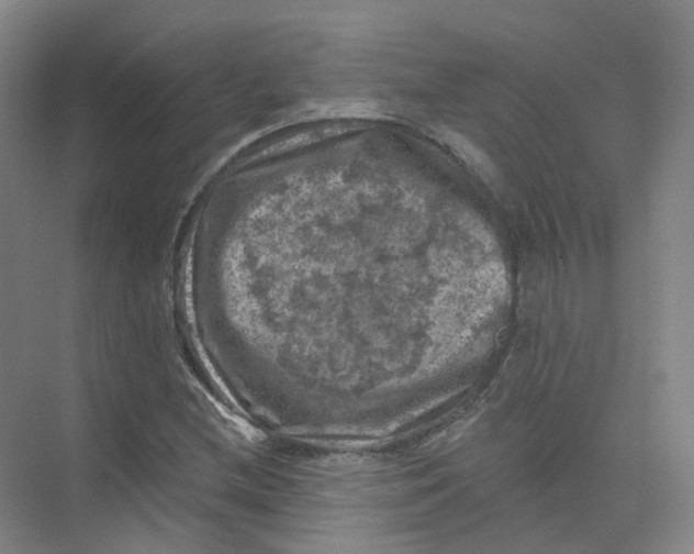 X0000074041212200609181944