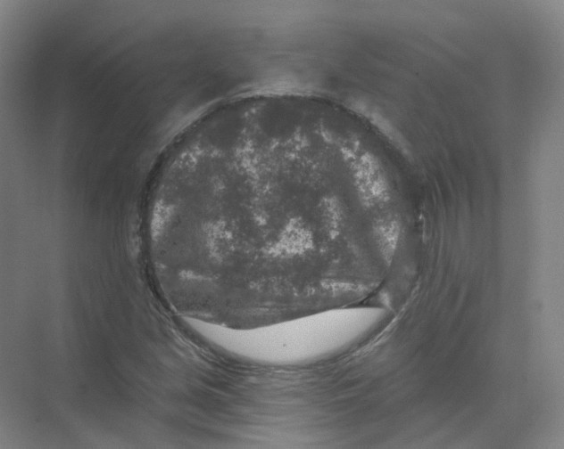 X0000074041213200609181944