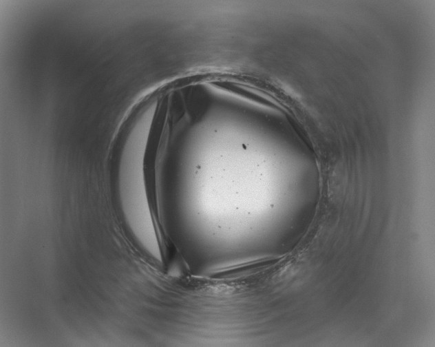 X0000074041214200609181944