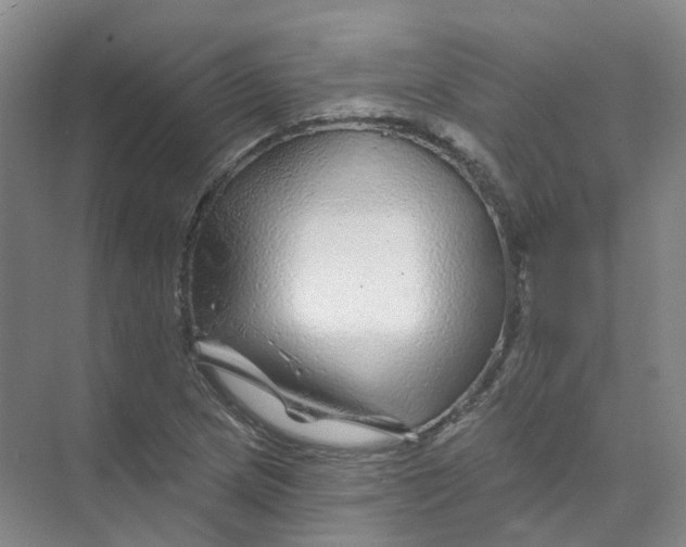 X0000074041217200609181944