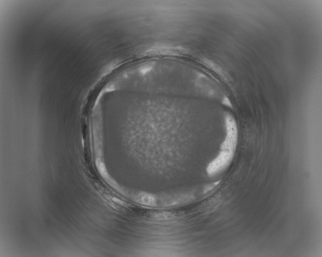 X0000074041219200609181944