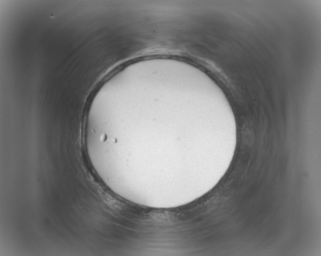 X0000074041220200609181944