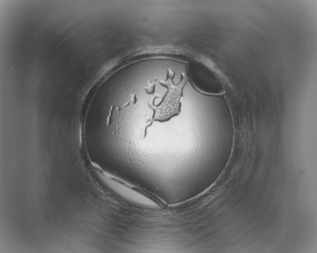 X0000074041221200609181944