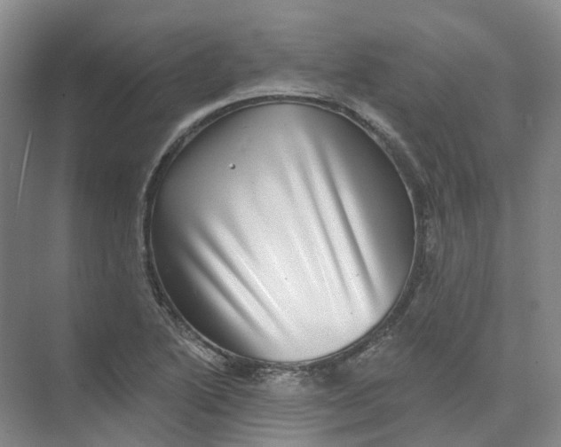 X0000074041222200609181944