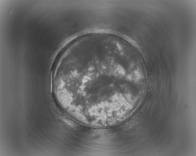 X0000074041223200609181944