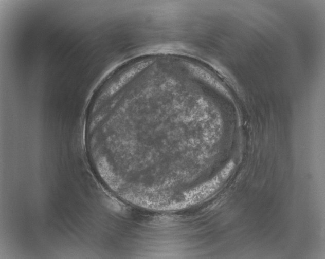 X0000074041224200609181944