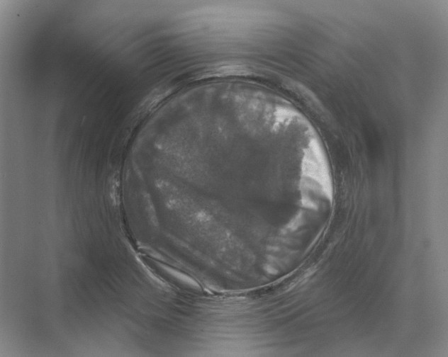 X0000074041225200609181944