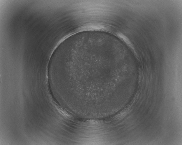 X0000074041226200609181944