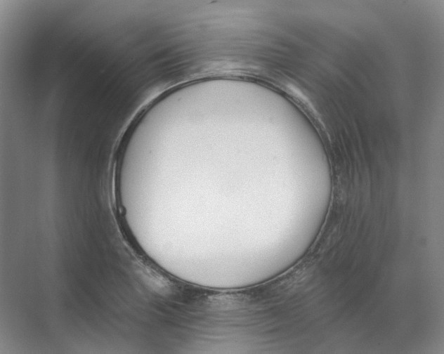 X0000074041227200609181944