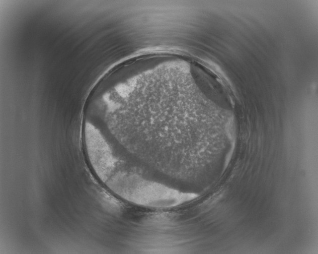 X0000074041228200609181944