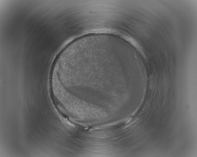 X0000074041229200609181944