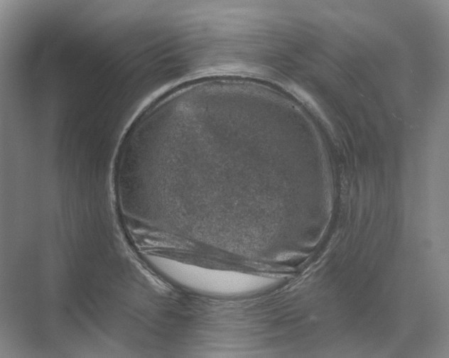 X0000074041230200609181944