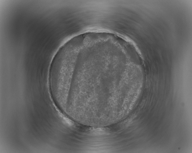 X0000074041231200609181944