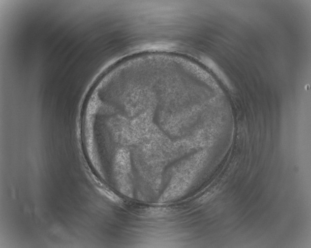 X0000074041232200609181944