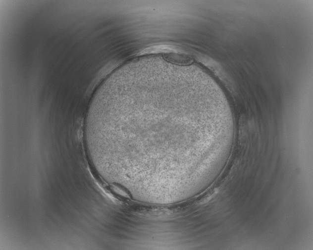 X0000074041233200609181944