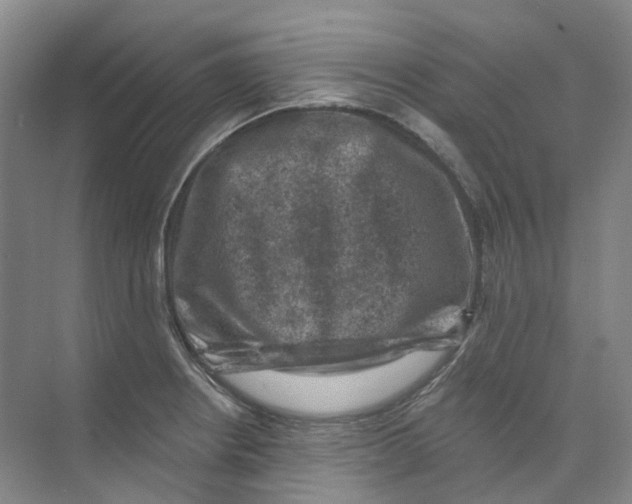 X0000074041234200609181944