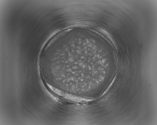 X0000074041235200609181944