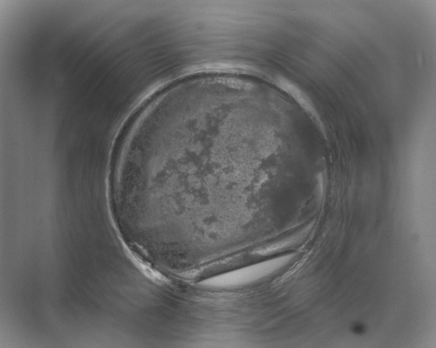 X0000074041237200609181944